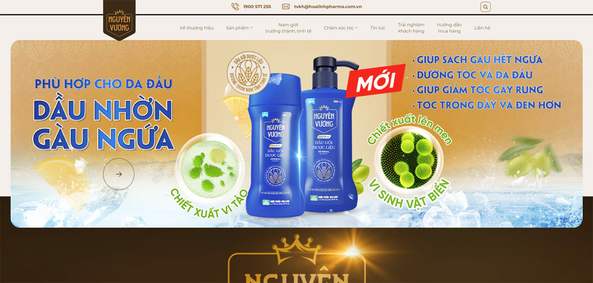 Website dầu gội thảo dược chuyên nghiệp
