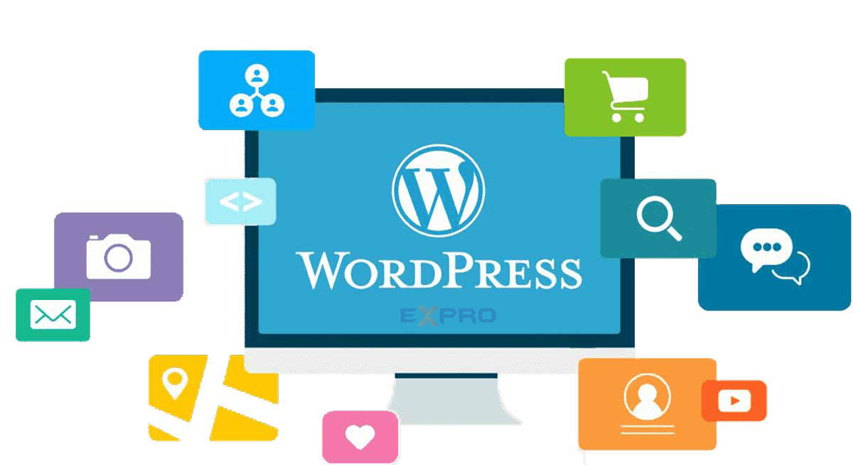 Website Wordpress