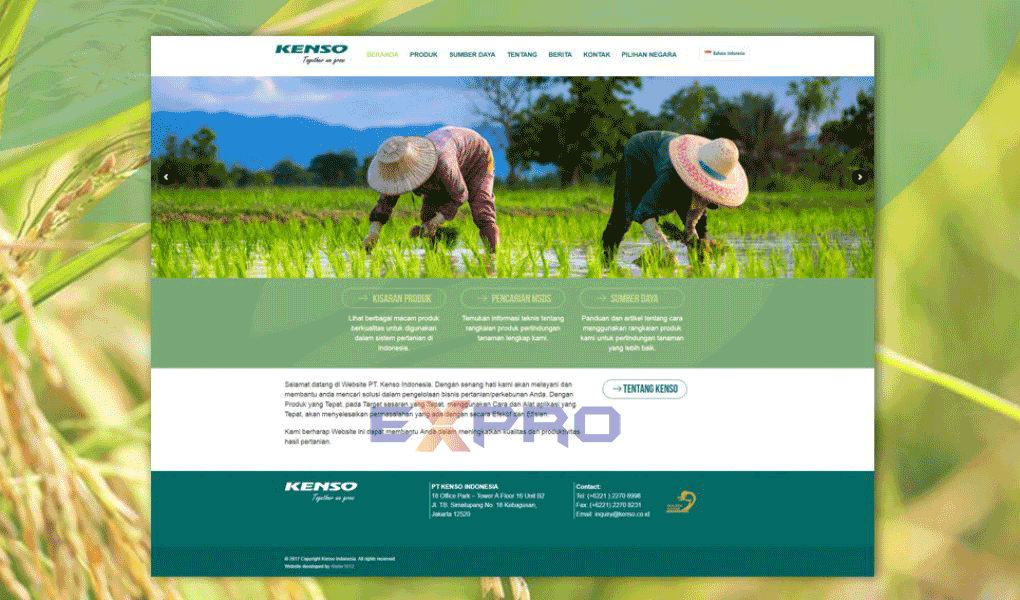 Thiết kế web nông nghiệp chuyên nghiệp